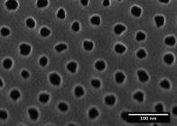 nanoholes produced by micellar technique