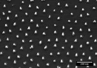 nanopillars produced by micellar technique